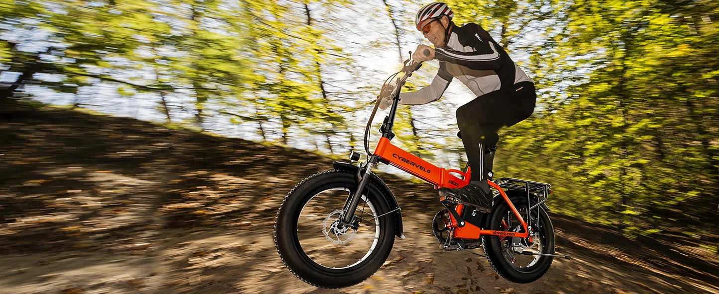 1000W Folding Electric Bike with 48V 20AH Large Removable Battery 30 MPH Top Speed and 80 Miles Max Range 20 Inch Fat Tire E Bike