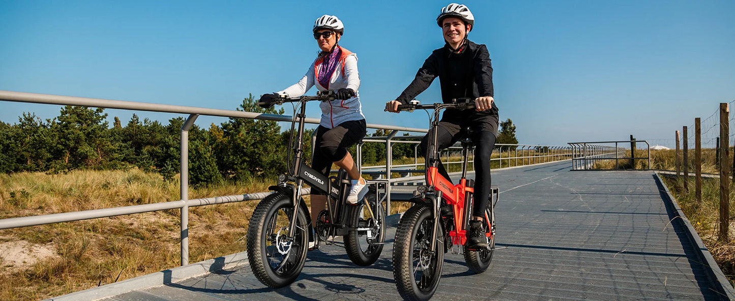 1000W Folding Electric Bike with 48V 20AH Large Removable Battery 30 MPH Top Speed and 80 Miles Max Range 20 Inch Fat Tire E Bike