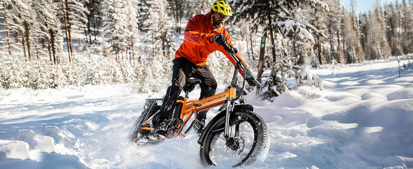 1000W Folding Electric Bike with 48V 20AH Large Removable Battery 30 MPH Top Speed and 80 Miles Max Range 20 Inch Fat Tire E Bike