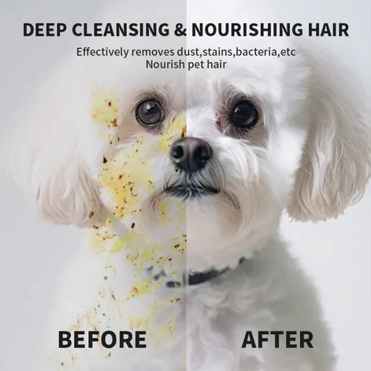 1/2Pack Disposable Pet Cleaning Gloves Wash Free SPA Bath Supplies